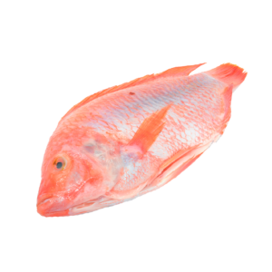 Mojarra Grande