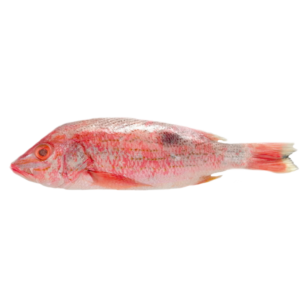 Pargo Mediano